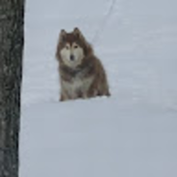 Meet your Posher, Lmjones9060 - Picture 1 of 1